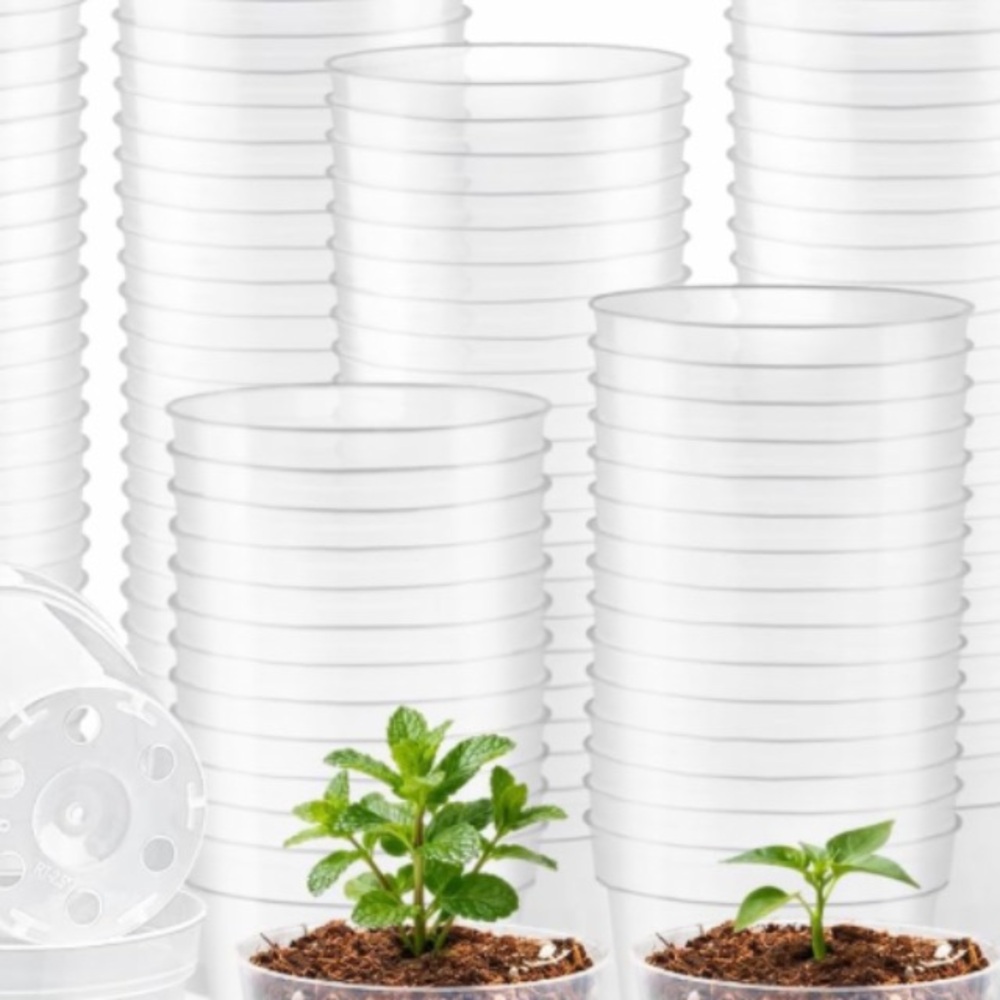 Clear Disposable Plastic Cups - Transparent Party Cups (White/Clear)